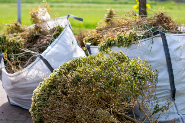 Best Construction Debris Removal  in Dale, IN